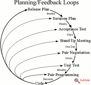 Extreme Programming has intense feedback loops.